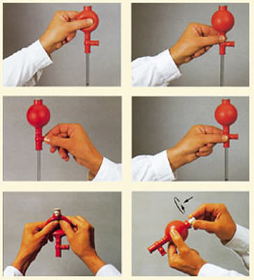 (image for) Pipette Bulb